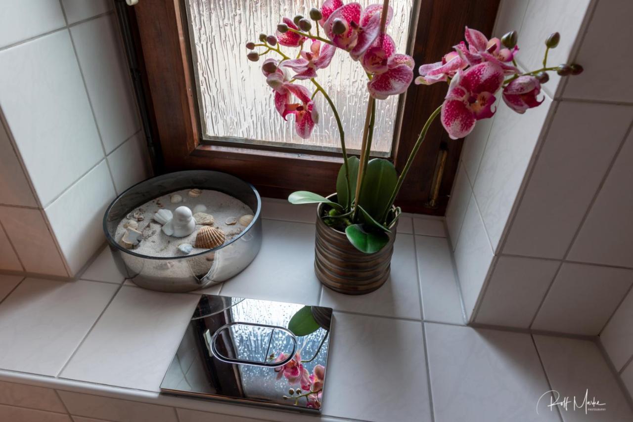 Ferienwohnung Sonnenschein 罗伊特 外观 照片